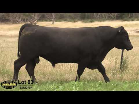 GRANITE RIDGE QUENTIN Q107