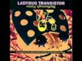 Ladybug Transistor - Sneedle