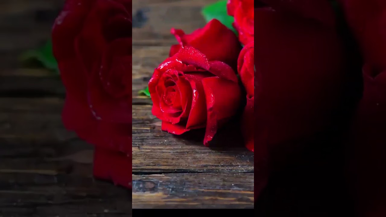 Deriving wallpapers from flowers (P1)  #abstract #satisfying #wallpapers