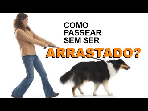 👉 Um Só Truque 🙏🏼 COMO ENSINAR O CACHORRO A PASSEAR SEM PUXAR A GUIA - SEGUNDA PARTE 🐶🐶🐶