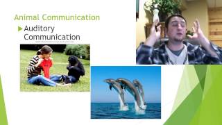 Animal Behavior - Communication