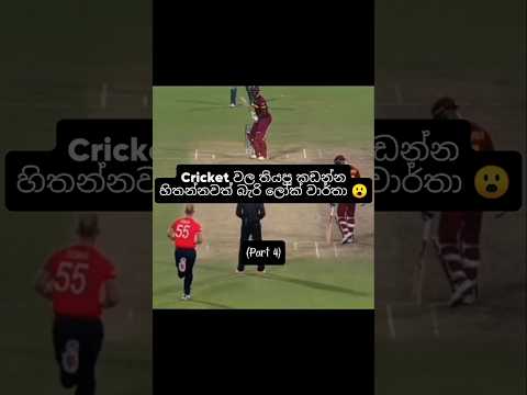මේ වාර්තා ගැන ඔයාල දැනම් හිටියද 😮💪 #cricket #record #youtubeshorts