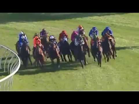 EPSOM HANDICAP 2015 - Winx