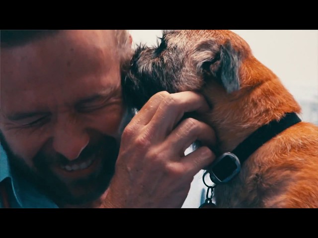 Sydney Animal Hospitals - Avalon Beach, NSW