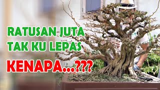 Download lagu '150 MILLION' AN OFFER THAT IS ENTHUSIASTIC BUT NOT TO BE PASSED ON🙄🙄 mp3