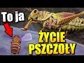 ŻYCIE PSZCZOŁY JEST CIĘŻKIE Bee Simulator