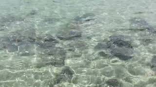 Huzur #keşfet #viral #video #gezgin #seyyah #gezilecekyerler #gezi #fy