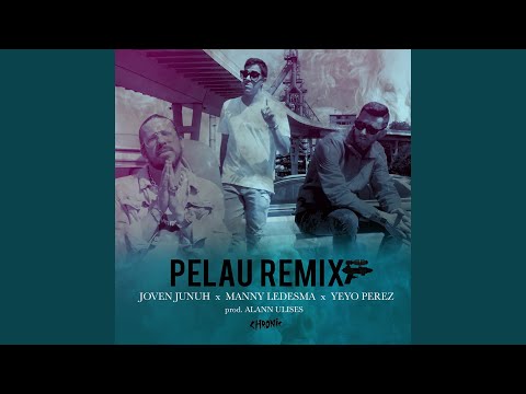Pelau (Remix)