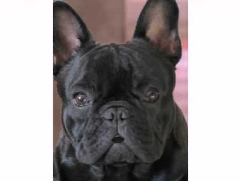 Lenny singt Happy Birthday