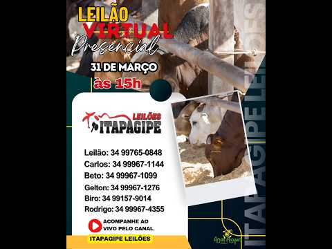 LEILÃO VIRTUAL  - ITAPAGIPE LEILÕES  31/03/2026- ITAPAGIPE-MG.