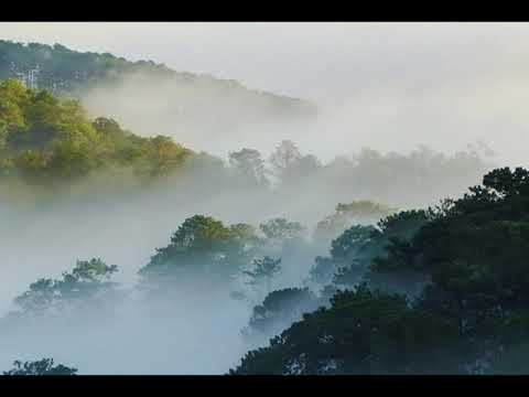 Kỷ niệm buồn - Lý Thu Thảo