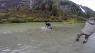 preview picture of video 'BC Fly Fishing for Steelhead & Coho / British Columbia Fliegenfischen'