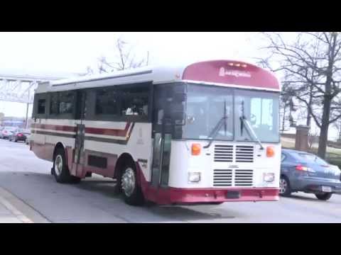 Lady Gamecocks head out west to open the NCAA