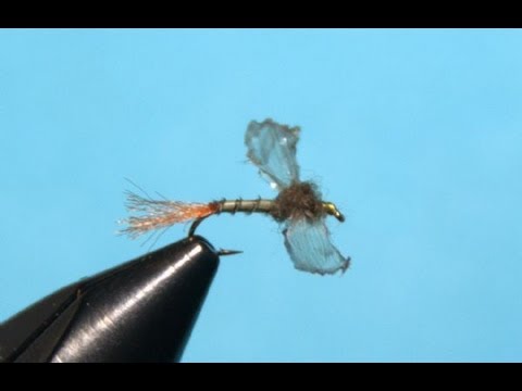 The Fripple - Fly Tying Lesson Video Tutorial by Curtis Fry