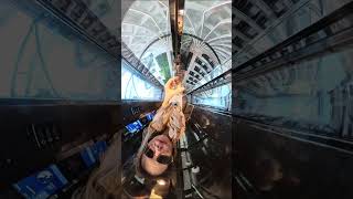 Luxury at sea, unforgettable views, and the cruise lifestyle everyone dreams about - Cruising