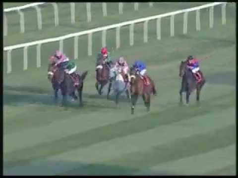 Premio Jockey Club 2011 (GR1)