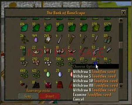 The Runescape Bank of Enrix E B (My Idol)