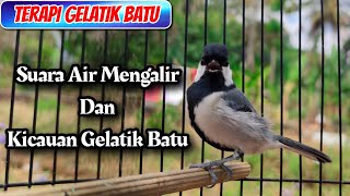 Download lagu TERAPI GELATIK BATU | SUARA AIR MENGALIR DAN KICAUAN GELATIK BATU UNTUK MERANGSANG GB MACET mp3