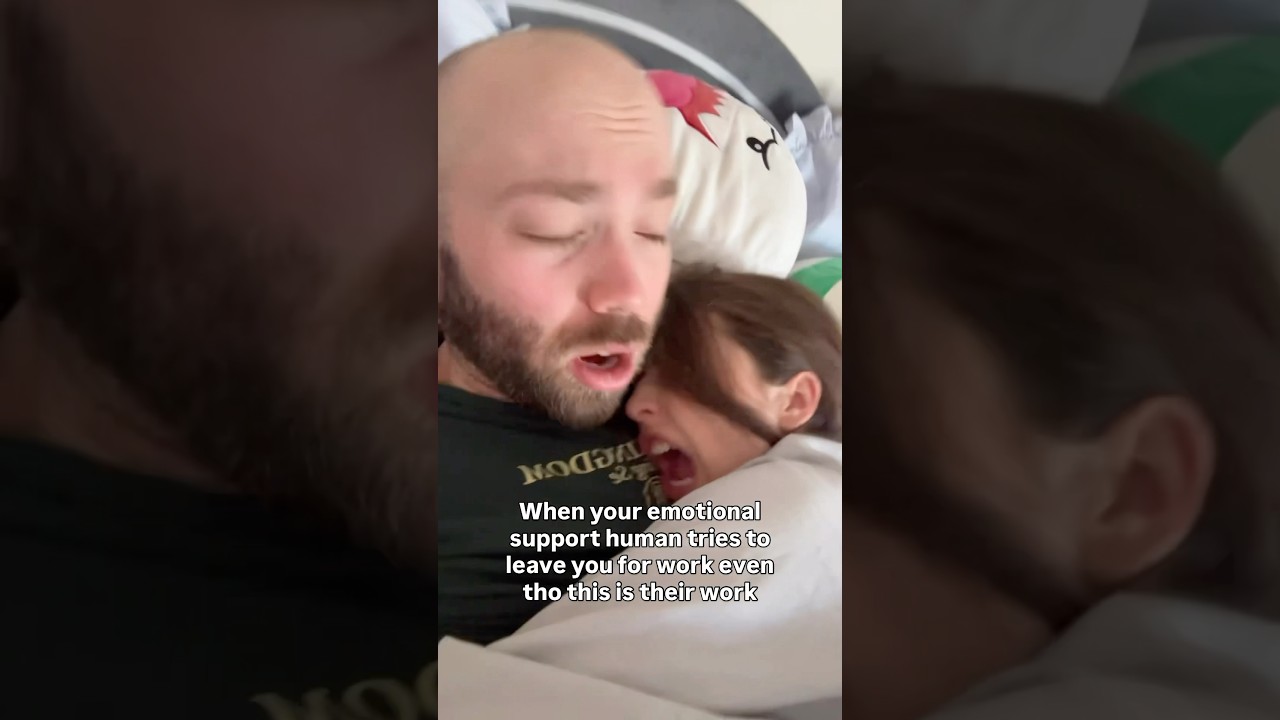 Emotional support human