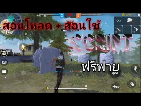 แจกสคริป free fire