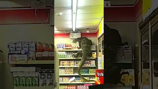 Download lagu biawak ngamuk# mp3