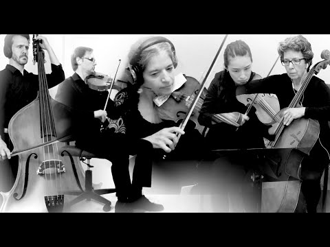 Hot w/ Mustard: "Transmuting Ether/Quarantine-Dreams" - Paul Mortilla