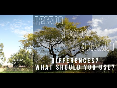 Rec709 vs Rec2020: What's the Difference and How to Edit Them!