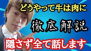 【永久保存】牛が牛肉になるまでの全てをお話しします