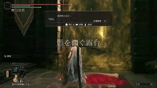【PS5】エルデンリング DLC 実況なし #10