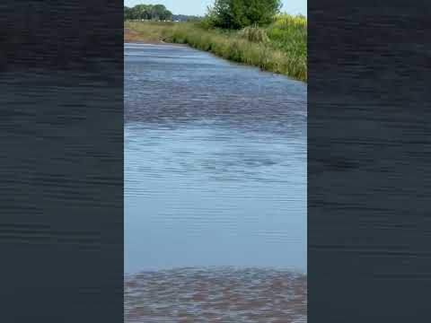 Inundaciones en Buenos Aires, Carlos Casares 5