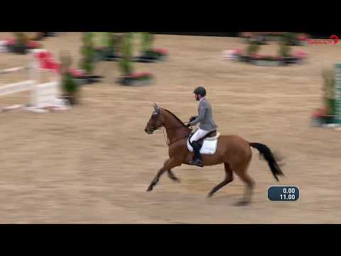 Philipp Weishaupt | Fundis Youngster Tour 7 Jährig | Partner Pferd 2020