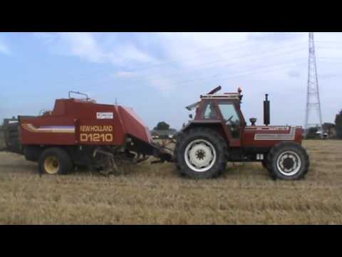 Loonw.Callens - Heestert