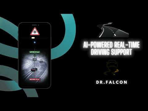 Dr.Falcon Driver Assistance