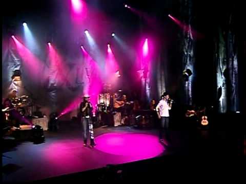 Armadilha video