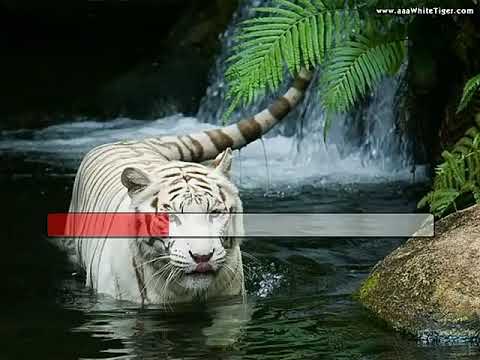 ANTHONY--NA DIA TSY HO AHY (karaoké)