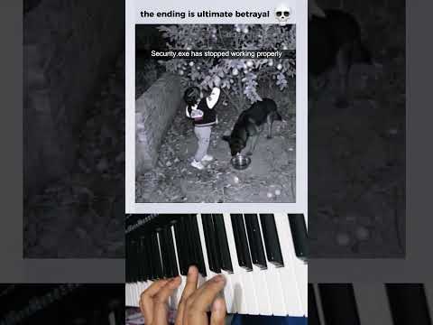 Dog for sale 0$ JUST TAKE HIM AWAY #shorts #dog #funnydogs