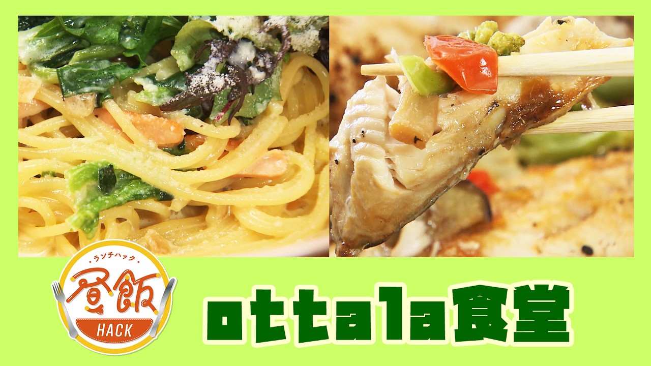 『ottala食堂』情報ワイド番組まるっと！昼飯HACK　#lunch  #ランチ #宮崎ランチ #定食