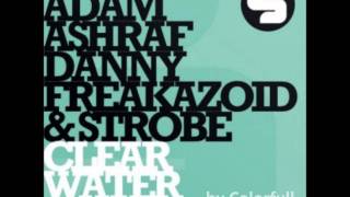 Danny Freakazoid - Clearwater (original mix)