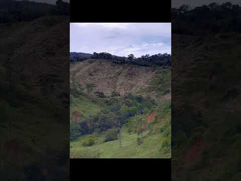 VENTA DE FINCA EN SAN CARLOS ANT, CON BUEN TERRENO Y PRODUCCIÓN DE PANELA. VALOR: 320.000.000