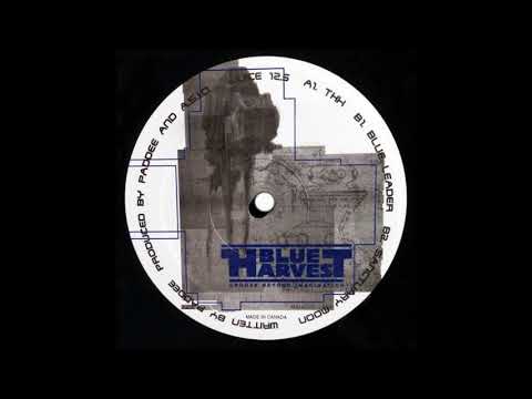 Paddee & A.S.I.O. - Blue Leader (1996)