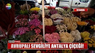 Avrupalı sevgiliye Antalya çiçeği!