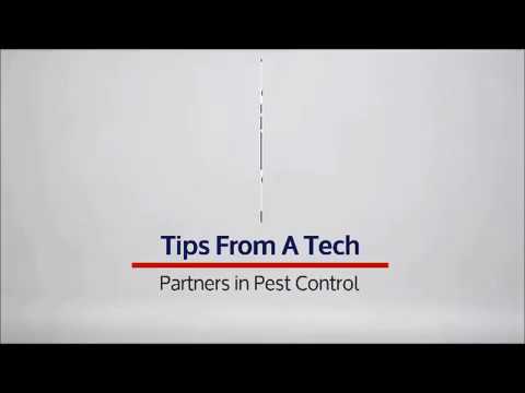 Tips from a Tech - Partners in Pest Control