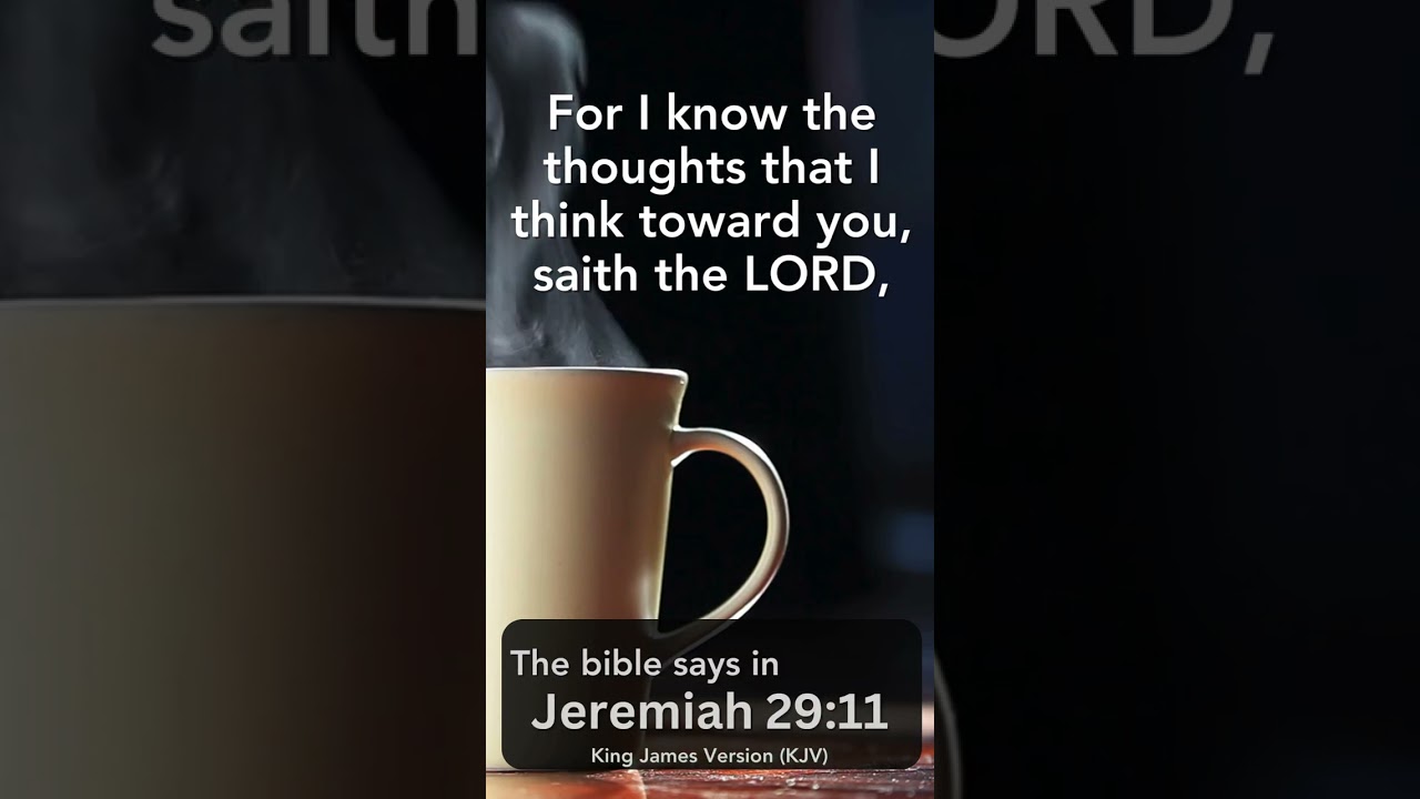 Jeremiah 29:11 - Day76 - Daily Bible Scripture