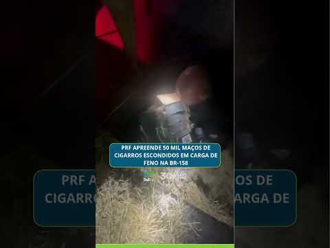 PRF apreende 50 mil maços de cigarros escondidos em carga de feno na BR-158