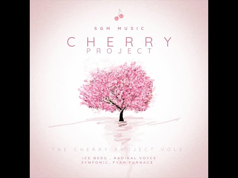 DI O.G Iceburg - Never End (The Cherry Project Vol 2)