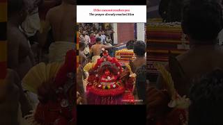 If the Coconut Reaches You, Your Prayer Has Already Reached God