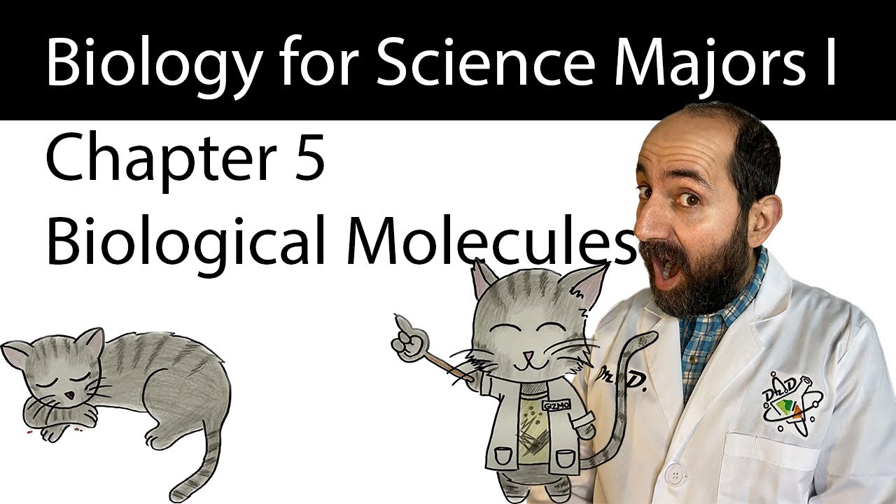 Chapter 5 – The Structure and Function of Large Biological Molecules