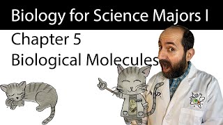 Chapter 5 – The Structure and Function of Large Biological Molecules