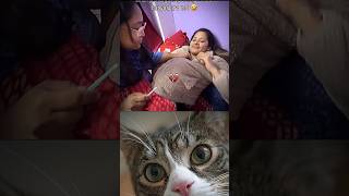 Wait for twist😂😂 #funny #memes #trending #cat