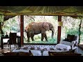 Sanctuary Makanyane Safari Lodge